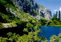 Kanjon Cetine